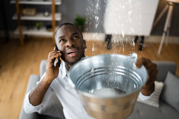 Water damage restoration mold remediation in Williamstown, NJ