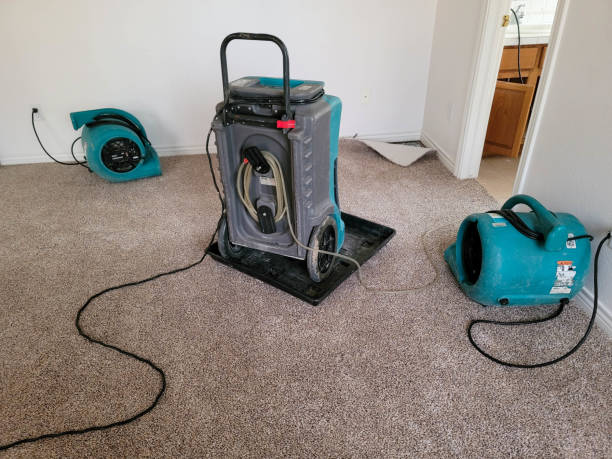 Best Sewage cleanup and water damage restoration  in Williamstown, NJ