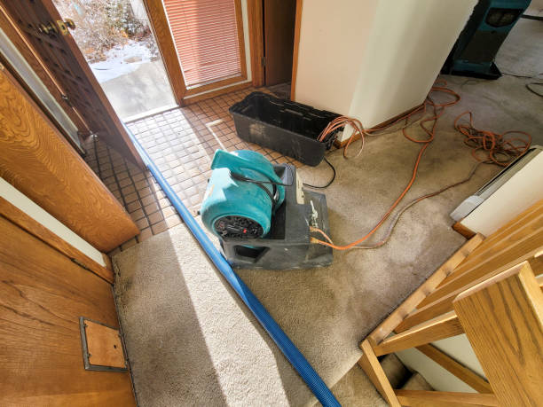 Best Water damage restoration mold remediation  in Williamstown, NJ