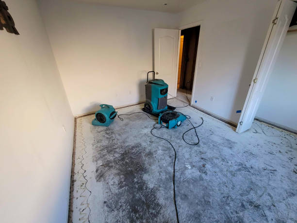 Best Mold removal after water damage  in Williamstown, NJ