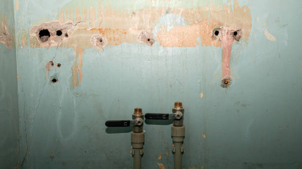 Best Water damage restoration near me  in Williamstown, NJ