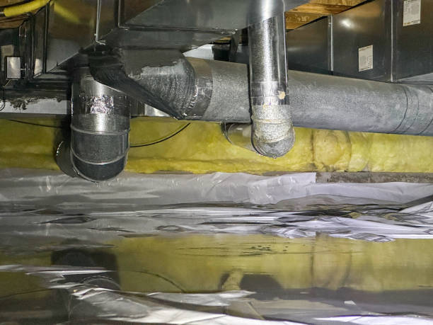 Best Water damage cleanup near me  in Williamstown, NJ