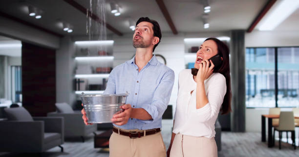 Best 24/7 water damage repair  in Williamstown, NJ
